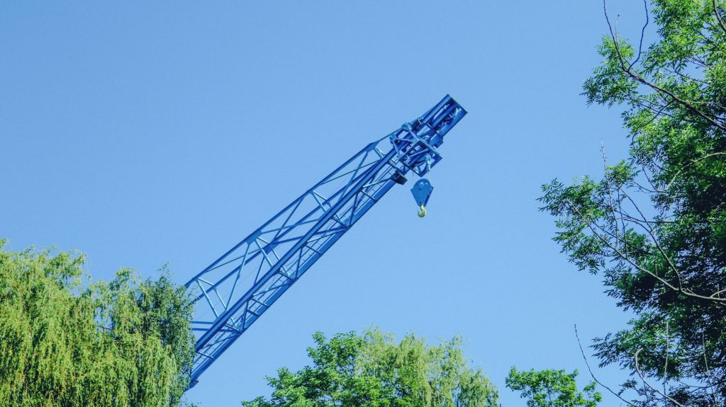ein blauer Kranich schwebt über einigen Bäumen in der Luft